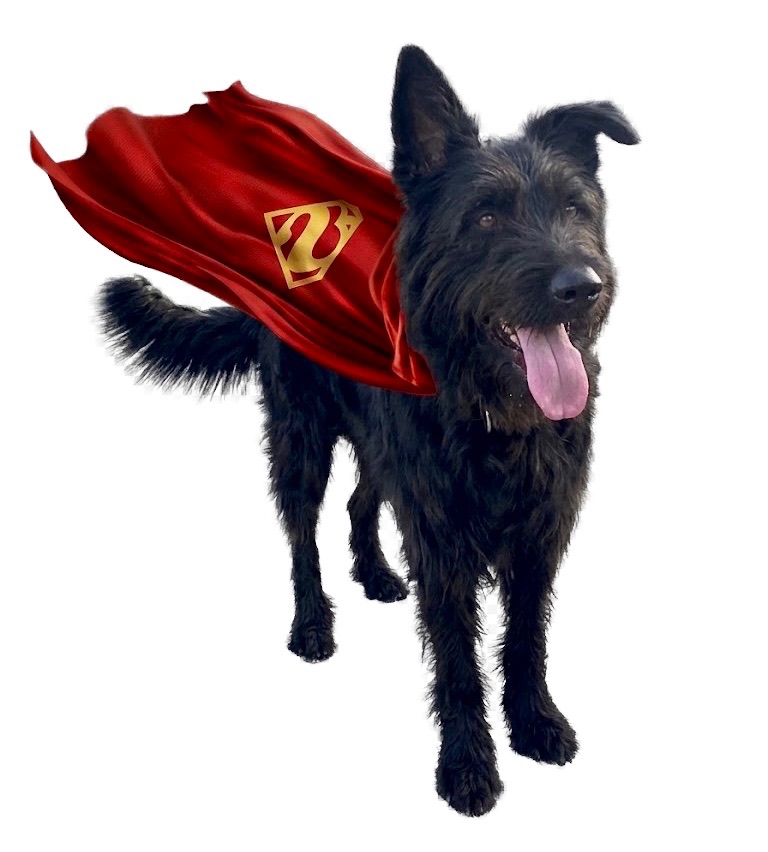 Krypto